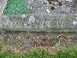 image of grave number 800747